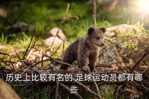 歷史上比較有名的 足球運動員都有哪些