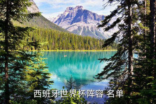  西班牙世界杯陣容 名單
