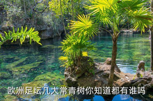 歐洲足壇幾大常青樹(shù)你知道都有誰(shuí)嗎