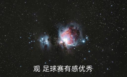 觀 足球賽有感優(yōu)秀