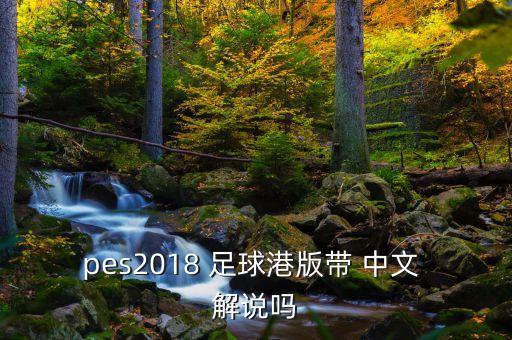 pes2018 足球港版帶 中文 解說(shuō)嗎