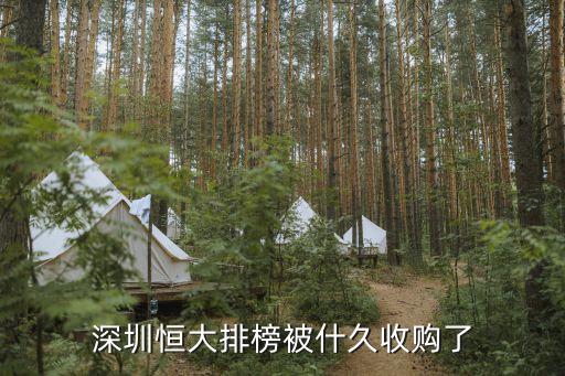 深圳恒大排榜被什久收購(gòu)了