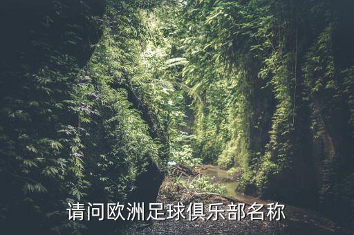 請問(wèn)歐洲足球俱樂(lè )部名稱(chēng)