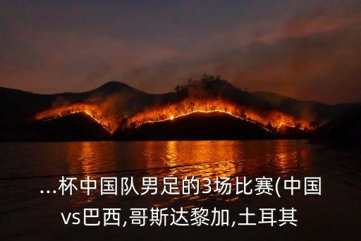 ...杯中國隊男足的3場比賽(中國vs巴西,哥斯達黎加,土耳其