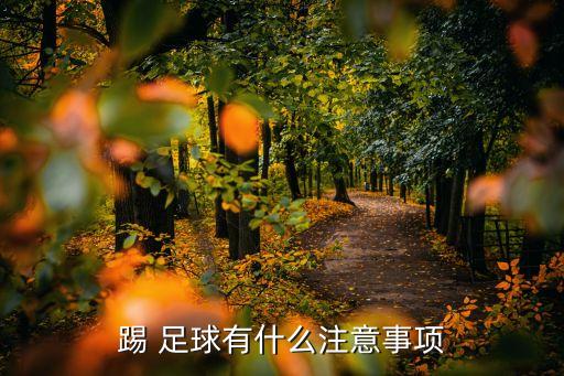 踢 足球有什么注意事項(xiàng)