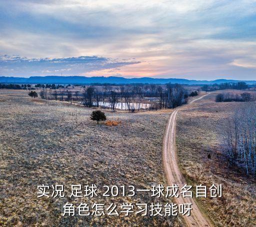  實況 足球 2013一球成名自創(chuàng)角色怎么學習技能呀