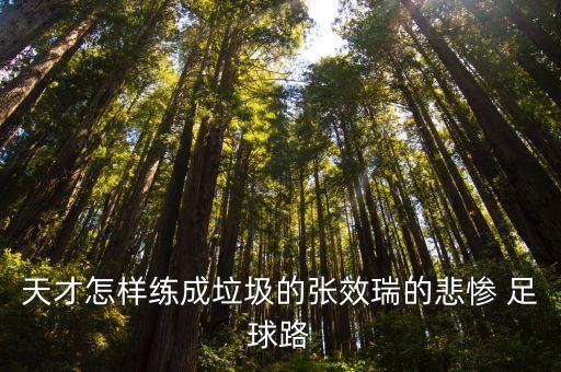 天才怎樣練成垃圾的張效瑞的悲慘 足球路