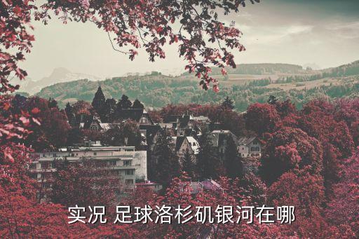  實況 足球洛杉磯銀河在哪