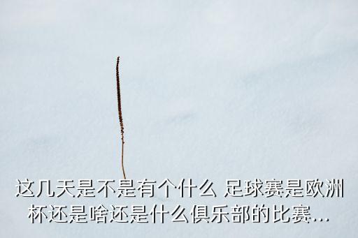 2016天津足球賽,天津足球賽門票在哪里買啊