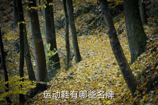 運動鞋有哪些名牌