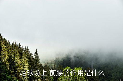  足球場上 前腰的作用是什么