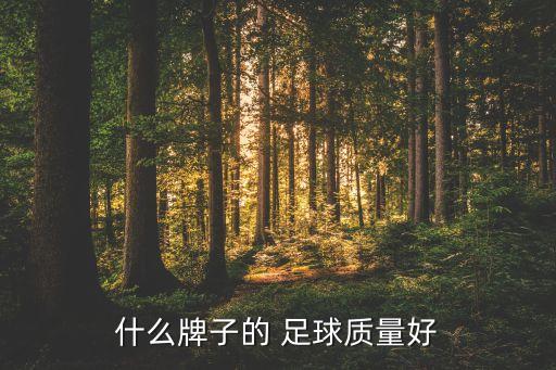 什么牌子的 足球質(zhì)量好