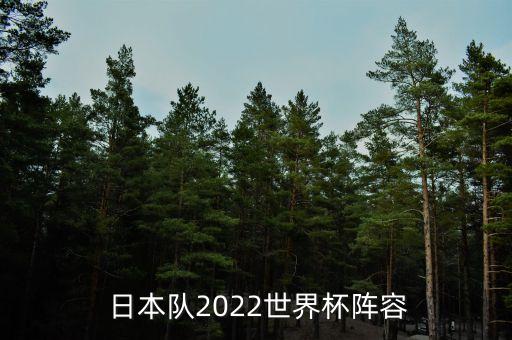  日本隊(duì)2022世界杯陣容