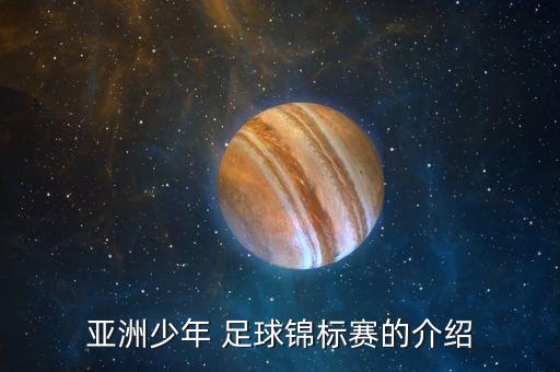 亞洲少年 足球錦標(biāo)賽的介紹