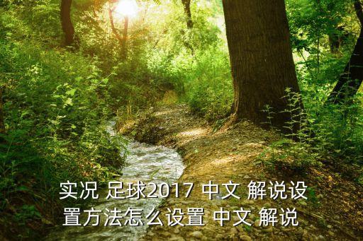 實況足球幾有中文解說,psp實況足球2022中文解說