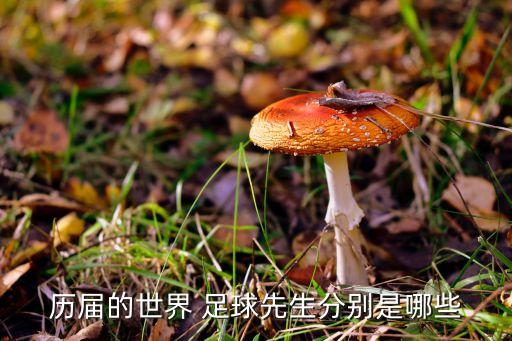 歷屆的世界 足球先生分別是哪些