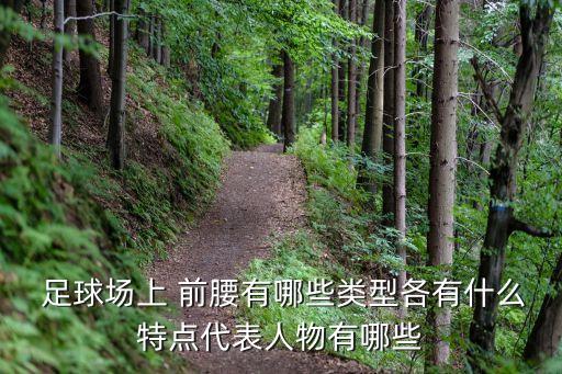 足球小說前腰,足球前腰的位置和打法