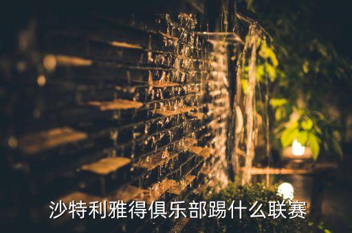  沙特利雅得俱樂部踢什么聯(lián)賽