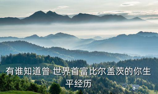 有誰知道曾 世界首富比爾蓋茨的你生平經(jīng)歷