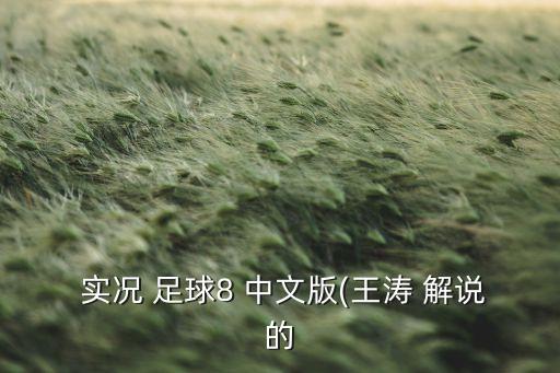  實(shí)況 足球8 中文版(王濤 解說(shuō)的