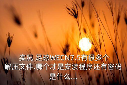  實況 足球WECN7.5有很多個解壓文件,哪個才是安裝程序還有密碼是什么...