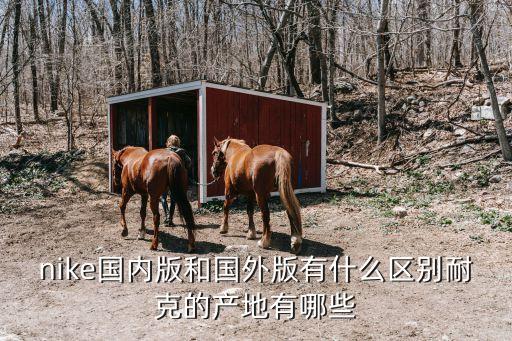 nike國內(nèi)版和國外版有什么區(qū)別耐克的產(chǎn)地有哪些