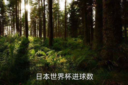  日本世界杯進(jìn)球數(shù)