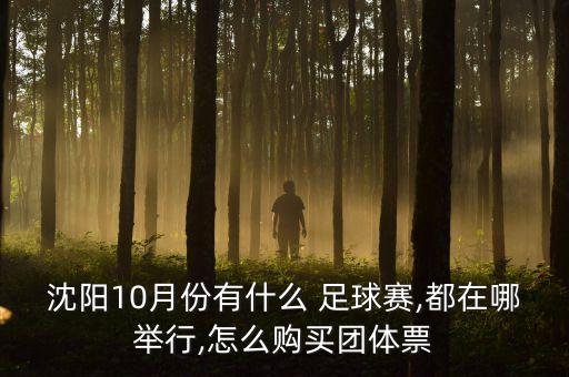 沈陽10月份有什么 足球賽,都在哪舉行,怎么購買團(tuán)體票