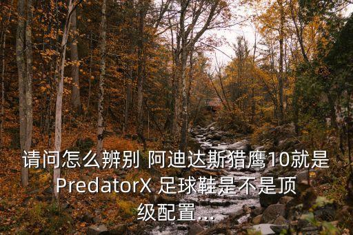 請(qǐng)問(wèn)怎么辨別 阿迪達(dá)斯獵鷹10就是PredatorX 足球鞋是不是頂級(jí)配置...