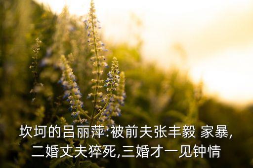坎坷的呂麗萍:被前夫張豐毅 家暴,二婚丈夫猝死,三婚才一見鐘情