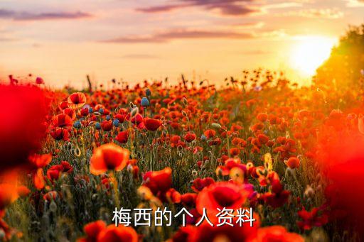  梅西的個(gè)人資料