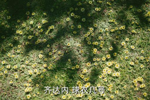 齊達(dá)內(nèi) 球衣幾號(hào)
