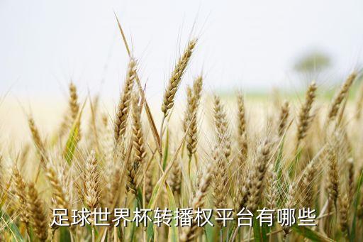 中國對卡塔爾足球直播,2022足球世界杯卡塔爾開幕式直播