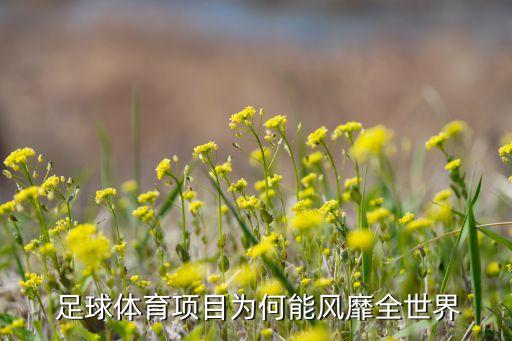  足球體育項目為何能風靡全世界