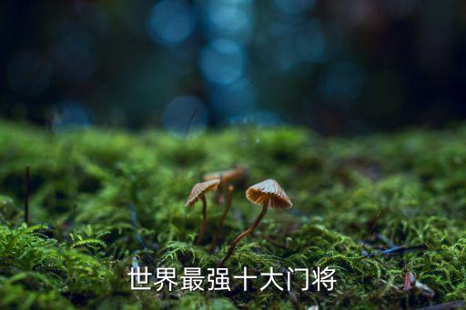 世界最強十大門將