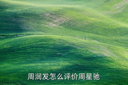世界功夫足球基金會