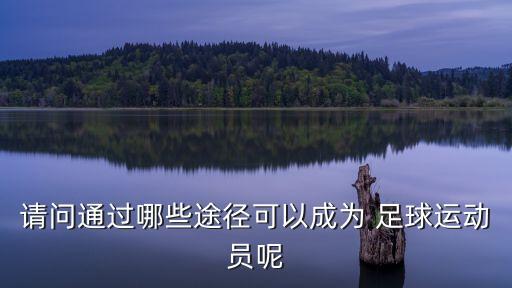 請問通過哪些途徑可以成為 足球運動員呢