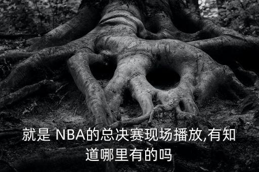 就是 NBA的總決賽現(xiàn)場播放,有知道哪里有的嗎