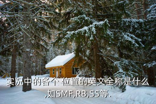 實(shí)況中的各個(gè) 位置的英文全稱是什么,如SMF,RB,SS等.