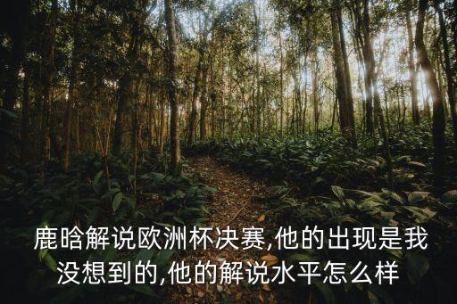  鹿晗解說歐洲杯決賽,他的出現(xiàn)是我沒想到的,他的解說水平怎么樣