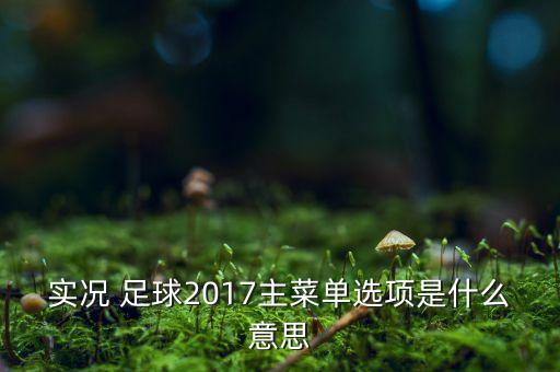 實(shí)況 足球2017主菜單選項(xiàng)是什么意思