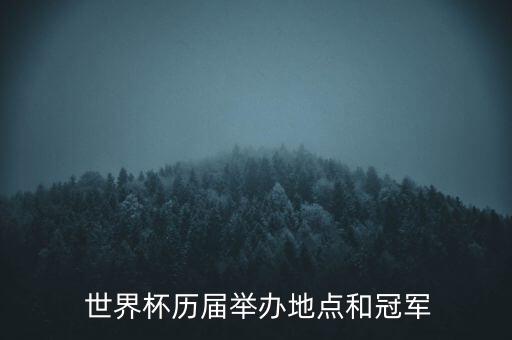 足球世界杯城市
