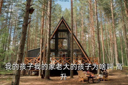 高升足球離婚,足球運動員高升簡歷