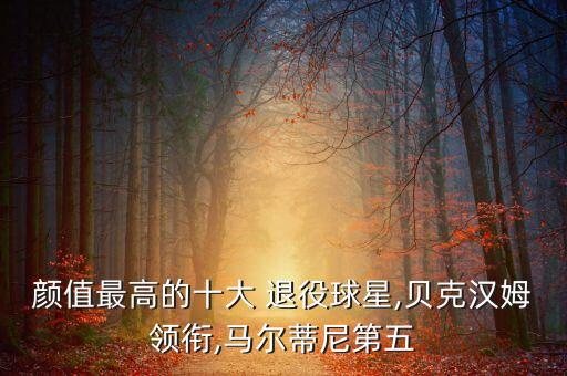 顏值最高的十大 退役球星,貝克漢姆領(lǐng)銜,馬爾蒂尼第五