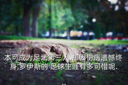 本可成為足壇第三人,卻因傷病遺憾終身,羅伊斯的 足球生涯有多可惜呢...