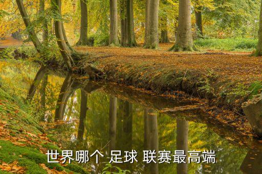 世界哪個 足球 聯(lián)賽最高端