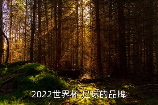 2022世界杯 足球的品牌