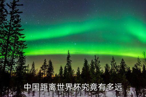 中國(guó)距離世界杯究竟有多遠(yuǎn)