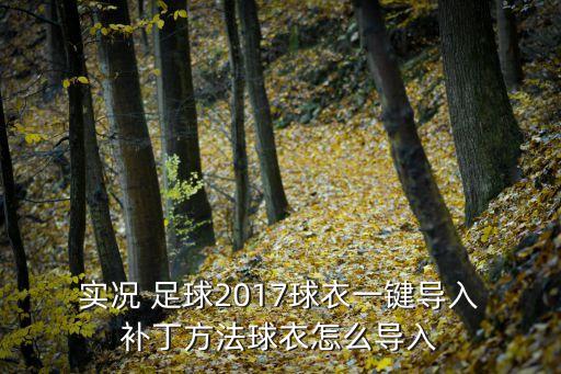  實(shí)況 足球2017球衣一鍵導入 補丁方法球衣怎么導入