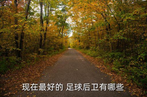 現(xiàn)在最好的 足球后衛(wèi)有哪些